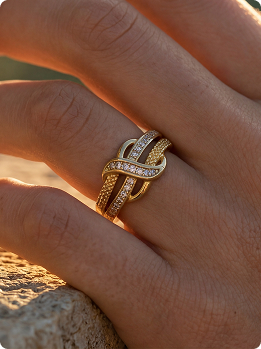 Ring Alt